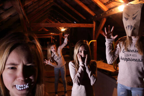 multipla (10)_laura_marcec_5